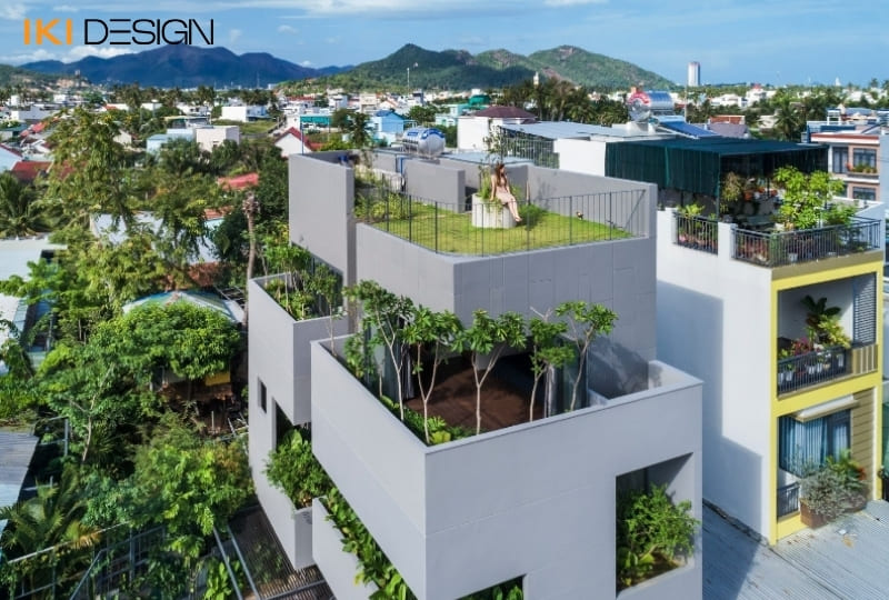 Cây xanh nhà ở giữa lòng thành phố